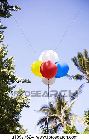 Picture - Low angle view of air balloons against sky. Fotosearch