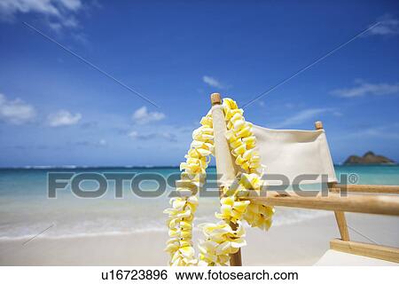 View of a flower garland hanging on wooden chair at beach View Large Photo Image Stock Photograph - View of a flower garland hanging on wooden chair at beach. Fotosearch