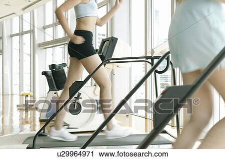 Two young women on walker as they exercise in a well equipped gym View Large Photo Image Stock Image - Two young women on walker as they exercise in a well equipped gym. Fotosearch
