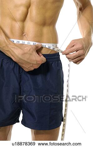 Mid section view of a man measuring his abdomen with a measuring tape View Large Photo Image Stock Photo - Mid section view of a man measuring his abdomen with a measuring tape. Fotosearch