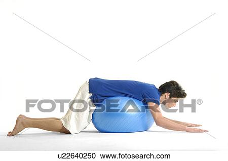 Side profile of a young man exercising with a fitness ball View Large Photo Image Stock Image - Side profile of a young man exercising with a fitness ball. Fotosearch