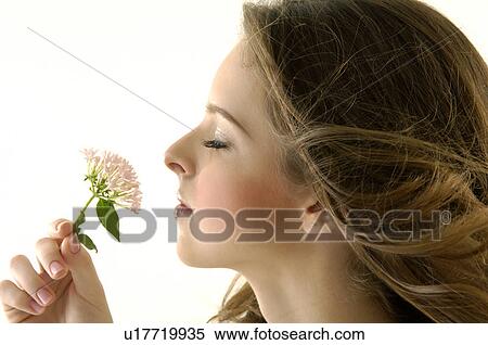 Close-up of a young woman smelling a flower View Large Photo Image Stock Photography - Close-up of a young woman smelling a flower. Fotosearch