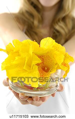 Mid section view of a young woman holding flowers View Large Photo Image Stock Image - Mid section view of a young woman holding flowers. Fotosearch
