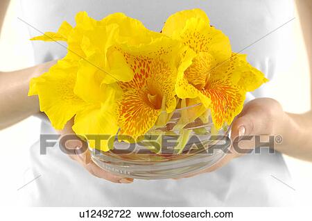 Mid section view of a young woman holding flowers View Large Photo Image Stock Image - Mid section view of a young woman holding flowers. Fotosearch