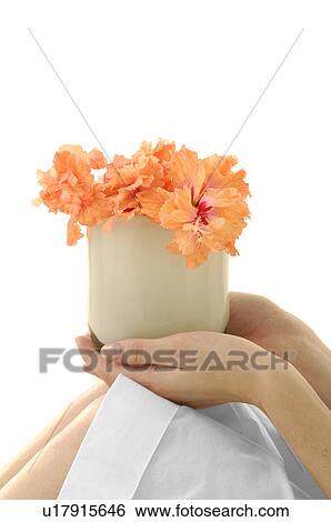 Stock Photograph - Mid section view of a woman holding a flower pot. Fotosearch
