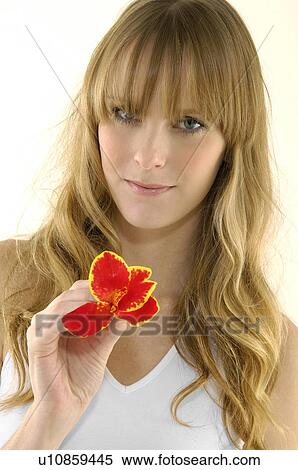 Portrait of a young woman holding a flower View Large Photo Image Stock Photography - Portrait of a young woman holding a flower. Fotosearch