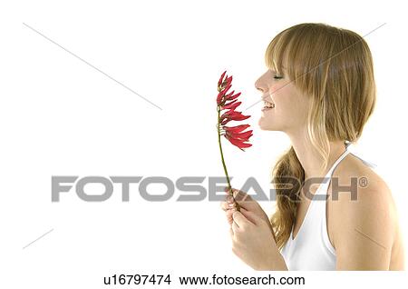 Picture - Side profile of a young woman smelling a flower. Fotosearch