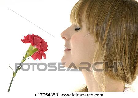 Side profile of a young woman smelling a flower View Large Photo Image Stock Photo - Side profile of a young woman smelling a flower. Fotosearch