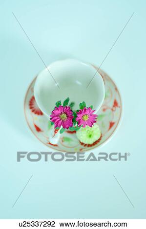 Stock Image - Pink Spray Mum in cup. Fotosearch