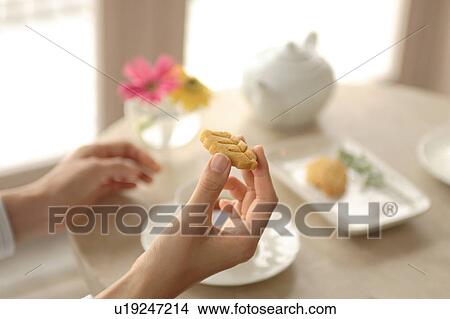 Close-up of a young woman's hand holding cookie View Large Photo Image Picture - Close-up of a young woman's hand holding cookie. Fotosearch