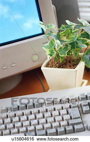 Computer and keyboard View Large Photo Image Stock Photograph - Computer and keyboard. Fotosearch