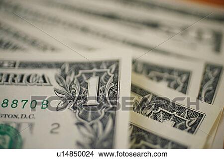 Picture - Dollar bill. Fotosearch