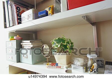 Picture - Potted plant, clock and books on shelf. Fotosearch