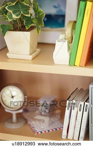 Potted plant, clock and books on shelf View Large Photo Image Stock Image - Potted plant, clock and books on shelf. Fotosearch