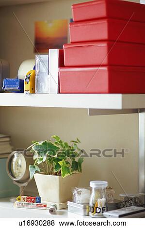 Stock Photo - Potted plant, clock and plastic boxes on shelf. Fotosearch