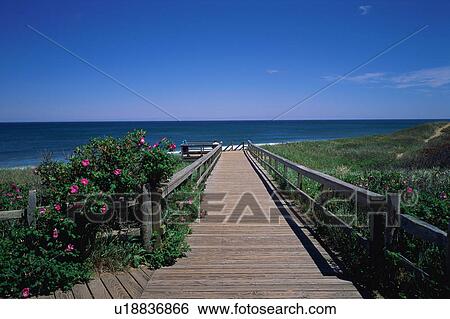 Stock Photograph - Boardwalk. Fotosearch