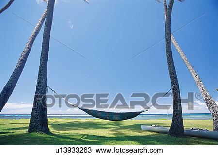 Hammock and blue sky View Large Photo Image Stock Image - Hammock and blue sky. Fotosearch