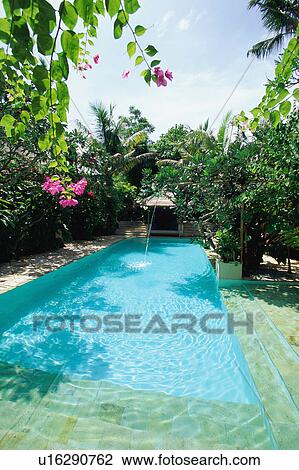 Hotel pool View Large Photo Image Stock Image - Hotel pool. Fotosearch