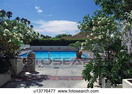 Hotel pool View Large Photo Image Stock Photo - Hotel pool. Fotosearch