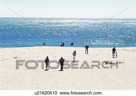 People walking at beach View Large Photo Image Stock Image - People walking at beach. Fotosearch