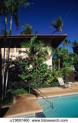 Stock Image - Poolside. Fotosearch