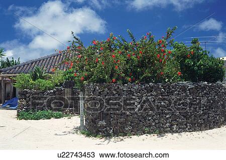 Stone wall View Large Photo Image Stock Image - Stone wall. Fotosearch