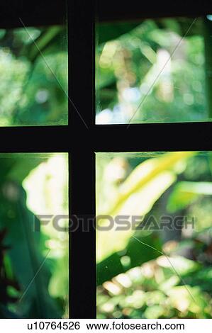Window View Large Photo Image Stock Photograph - Window. Fotosearch