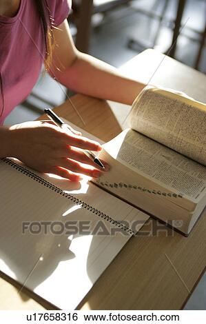 College student studying View Large Photo Image Stock Photograph - College student studying. Fotosearch