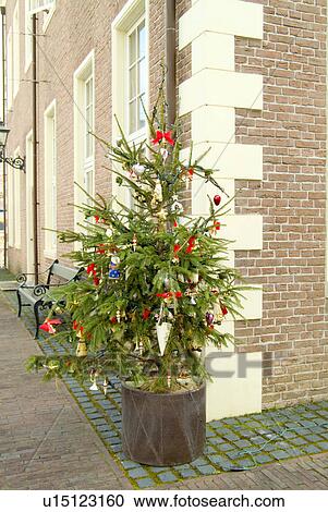 Stock Image - Christmas tree. Fotosearch