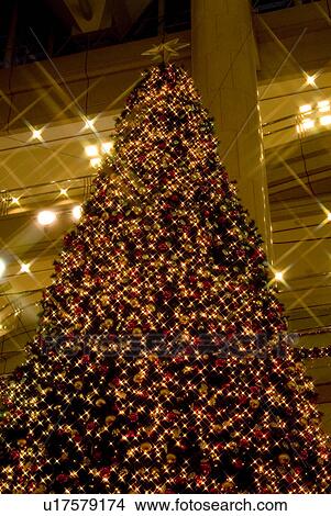 Picture - Illuminated Christmas tree. Fotosearch