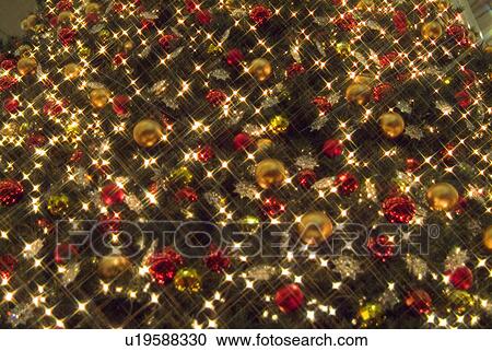 Illuminated Christmas tree View Large Photo Image Stock Image - Illuminated Christmas tree. Fotosearch