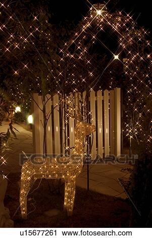 Stock Image - Illuminated reindeer. Fotosearch