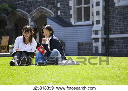 Two young women sitting on lawn View Large Photo Image Stock Photo - Two young women sitting on lawn. Fotosearch