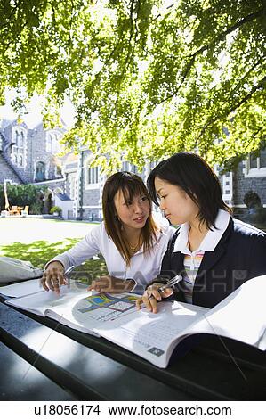 Two young women studying on campus View Large Photo Image Picture - Two young women studying on campus. Fotosearch