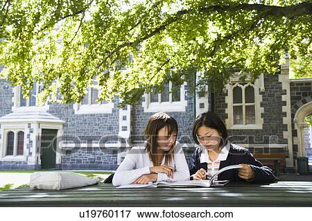 Two young women studying on campus View Large Photo Image Stock Photo - Two young women studying on campus. Fotosearch