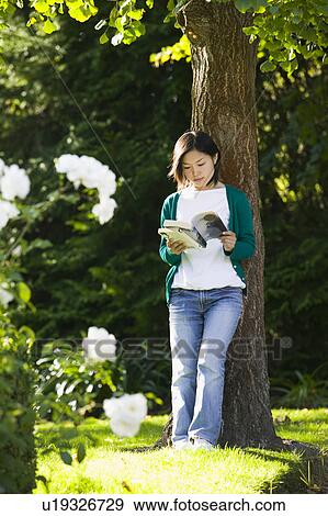 Young woman reading under a tree View Large Photo Image Stock Photo - Young woman reading under a tree. Fotosearch