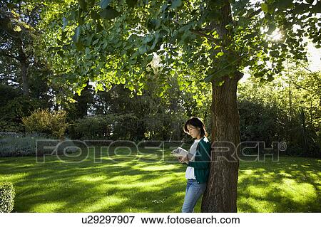 Young woman reading under a tree View Large Photo Image Stock Photo - Young woman reading under a tree. Fotosearch
