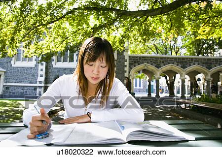 Stock Image - Young woman studying on campus. Fotosearch