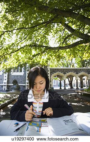 Young woman studying on campus View Large Photo Image Stock Image - Young woman studying on campus. Fotosearch