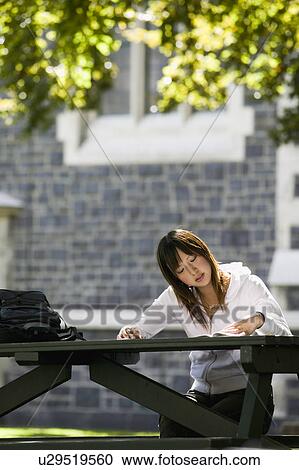 Young woman studying on campus View Large Photo Image Stock Image - Young woman studying on campus. Fotosearch