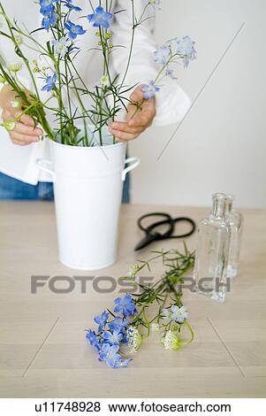 Stock Photo - A woman arranging flowers in a vase. Fotosearch