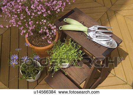 Picture - Gardening tools. Fotosearch