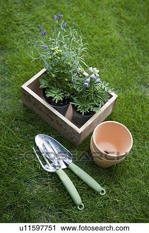 Gardening tools View Large Photo Image Stock Image - Gardening tools. Fotosearch