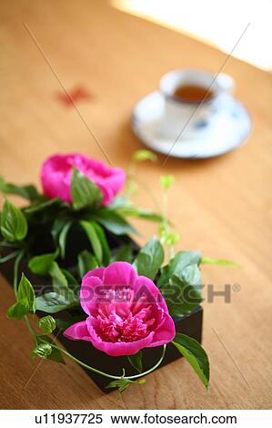 Stock Photography - Arranged flower on table. Fotosearch