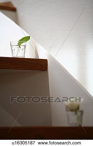 Flower on step View Large Photo Image Stock Photo - Flower on step. Fotosearch