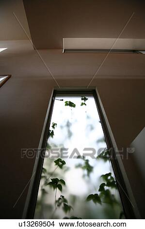 Glass window View Large Photo Image Picture - Glass window. Fotosearch
