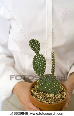 Stock Photograph - A woman holding a potted cactus. Fotosearch