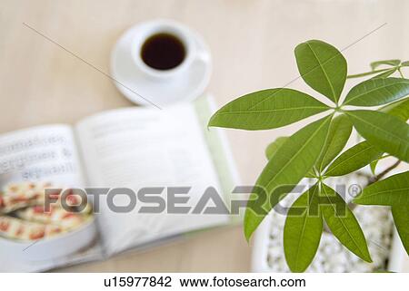 Stock Image - Green leaves with coffee on table in background. Fotosearch