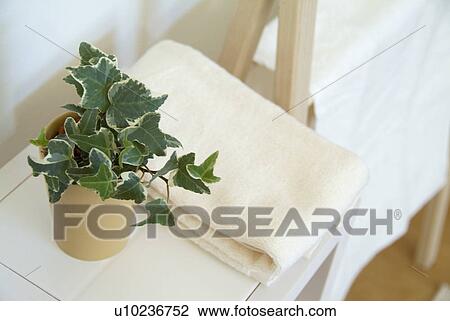 Stock Image - Ivy in pot and towels. Fotosearch
