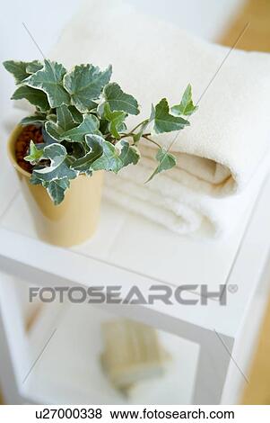 Stock Photo - Ivy in pot and towels. Fotosearch